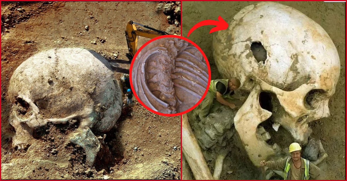 A massive skeleton has been found by archaeologists in the Sahara Desert!