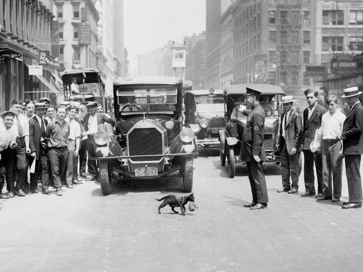 Raras fotos históricas que capturan un momento único en el tiempo - Past Chronicles