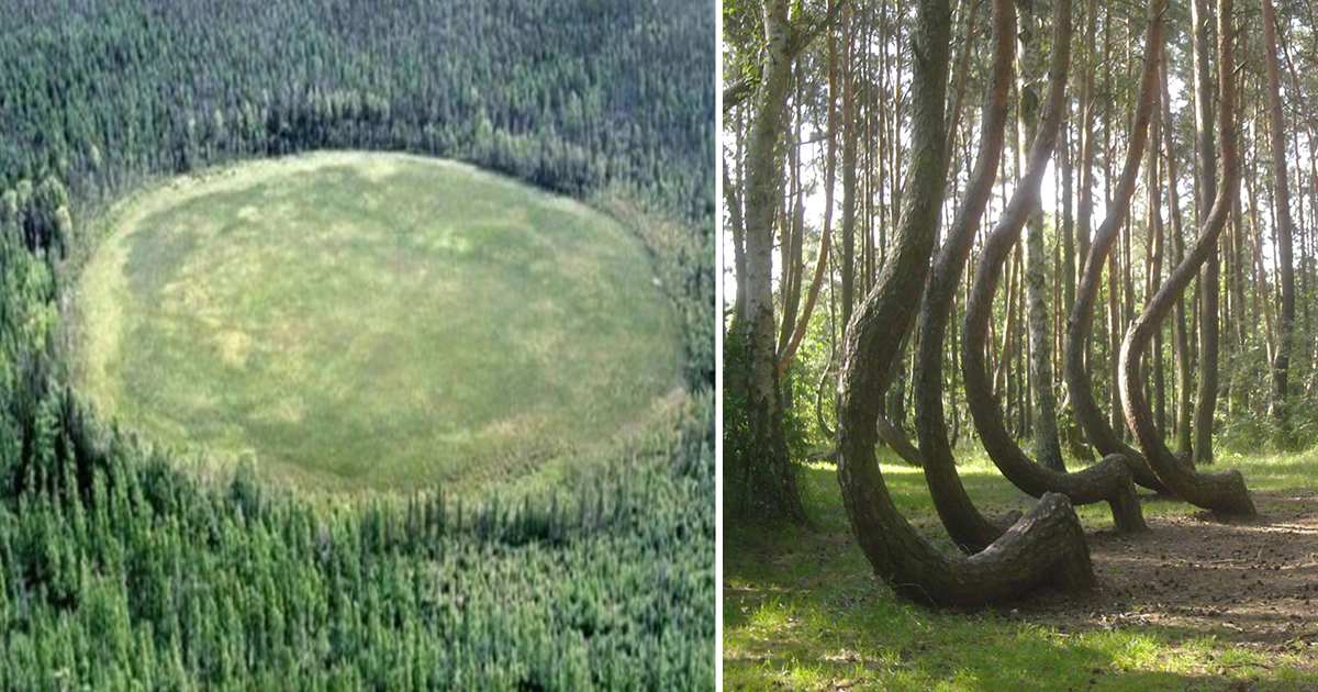 Transylvania’s Bermuda Triangle – The Strange Forest of Hoia Baciu in Romania - Ancient Files