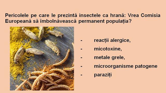 Pericole insecte ca hrană: Vrea Comisia Europeană să îmbolnăvească permanent populația?